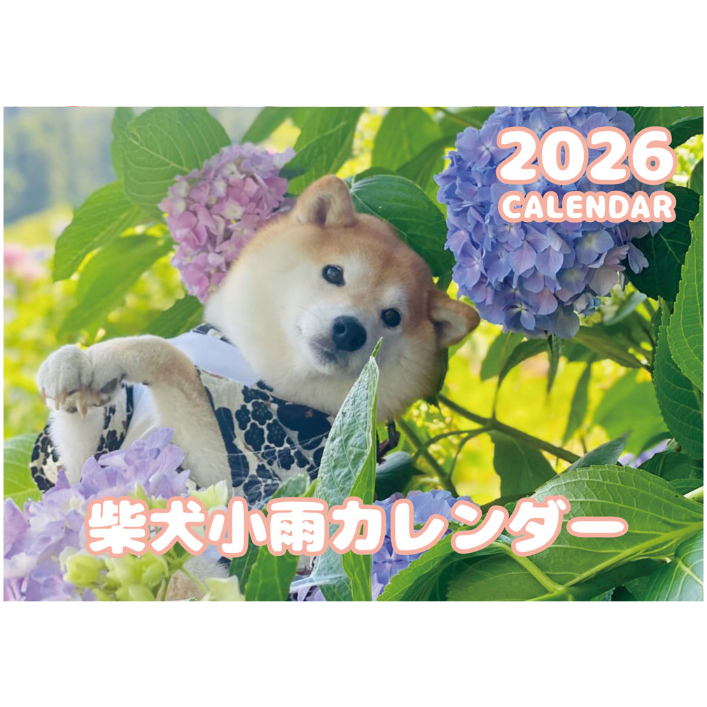 Rio カレンダー壁掛け Rio カレンダー壁掛け 壁掛け・卓上両用 2way カラー