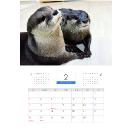 【予約販売】 カワウソ ATY 2025年 壁掛け カレンダー KK25360