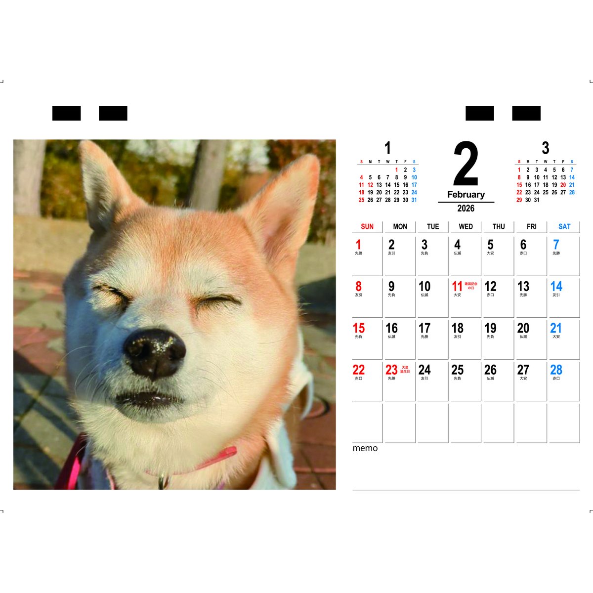 予約販売】 豆柴認定犬リンちゃん 2026年 卓上 カレンダー TC26295
