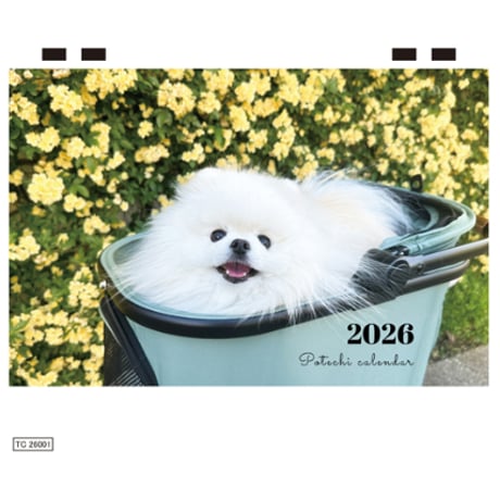 【予約販売】 ポテチ 犬 猫のレモンと犬のポテチちゃんねる 2026年 卓上 カレンダー TC26307