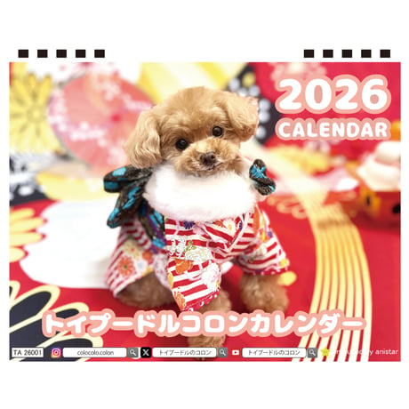 【予約販売】 トイプードルのコロン 犬 2026年 卓上カレンダー TA26148