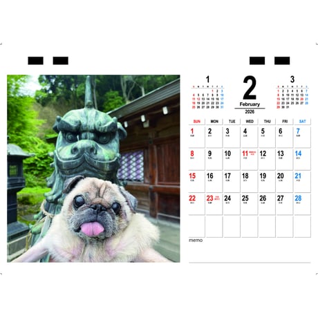 【予約販売】 パグのさくら 犬 2026年 卓上カレンダー TC26160