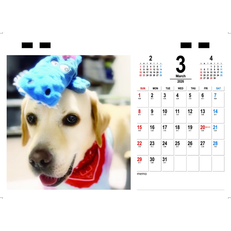 予約販売】 TONY ラブラドールレトリバー 犬 2026年 卓上カレンダー