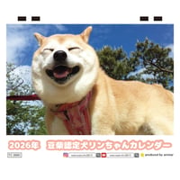 【予約販売】 豆柴認定犬リンちゃん 2026年 卓上 カレンダー TC26295