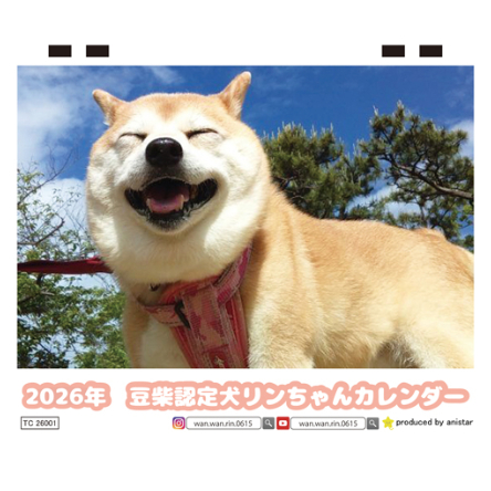 豆柴Rページ 予約販売】 豆柴認定犬リンちゃん 2026年 卓上 カレンダー TC26295