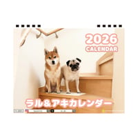 【予約販売】 ラル＆アキ パグ 柴犬 2026年 卓上カレンダー TA26046