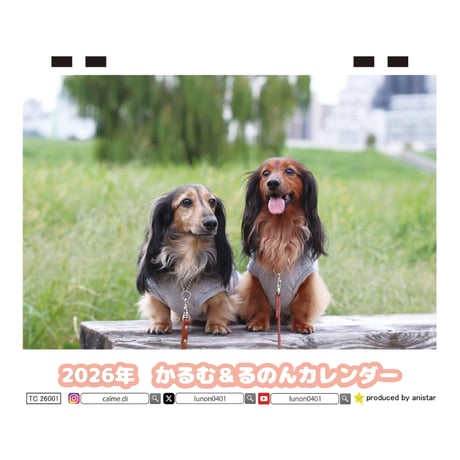 【予約販売】 ミニチュアダックスフンド かるむ＆るのん 犬 2026年 卓上 カレンダー TC26081
