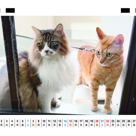 【予約販売】 猫のにゃろめっこ 2026年 卓上カレンダー TC26156