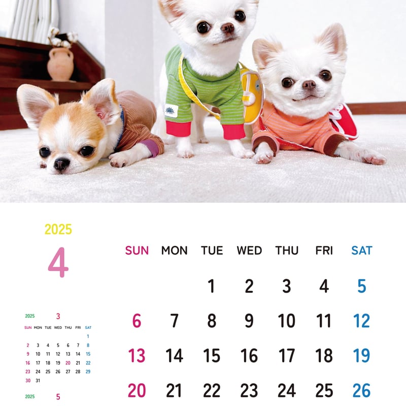 予約販売】 チワワ犬のおもちちゃん＆おかゆちゃん＆おしるこくん 2025 
