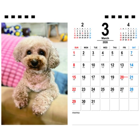 【予約販売】 いちご&ミルク＆ぷりん 犬 2026年 卓上カレンダー TA26236
