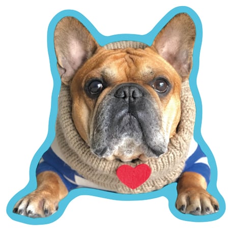 【予約販売】 フレンチブルドッグ torus トーラス 犬 ステッカー 3枚セット SU001NN