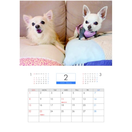 【予約販売】 ちわわん生活 チワワ 犬 2026年 壁掛けカレンダー KA26140