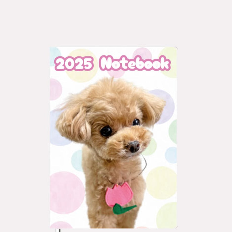66dafae29ecd340001a203f7