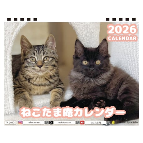 【予約販売】 ねこたま庵 猫 2026年 卓上 カレンダー TA26022