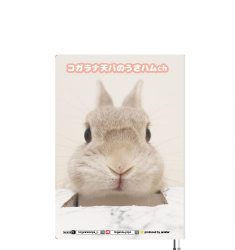 予約販売】 うさぎのコガラナ天パのうさハムch 2025年 家計簿帳