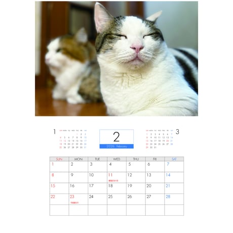 【予約販売】 ひのき猫 2026年 壁掛けカレンダー KA26175