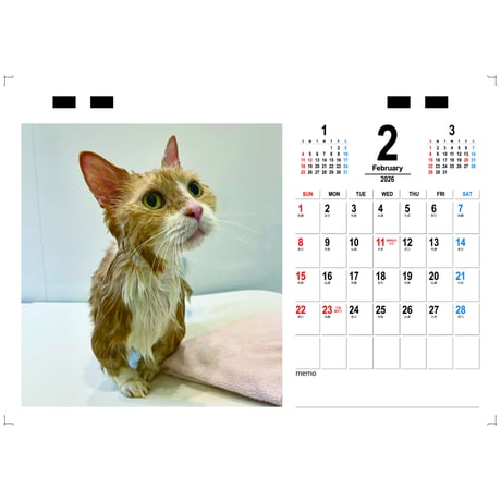 【予約販売】 まいるんちの毎日 猫 2026年 卓上カレンダー TC26234