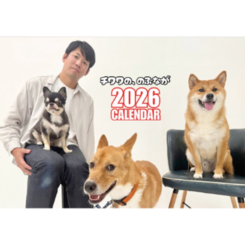 予約販売】 チワワののぶなが 犬 2026年 壁掛けカレンダー KA26089