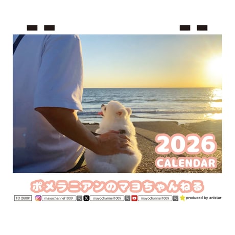 【予約販売】 ポメラニアンのマヨちゃんねる 犬 2026年 卓上カレンダー TC26222