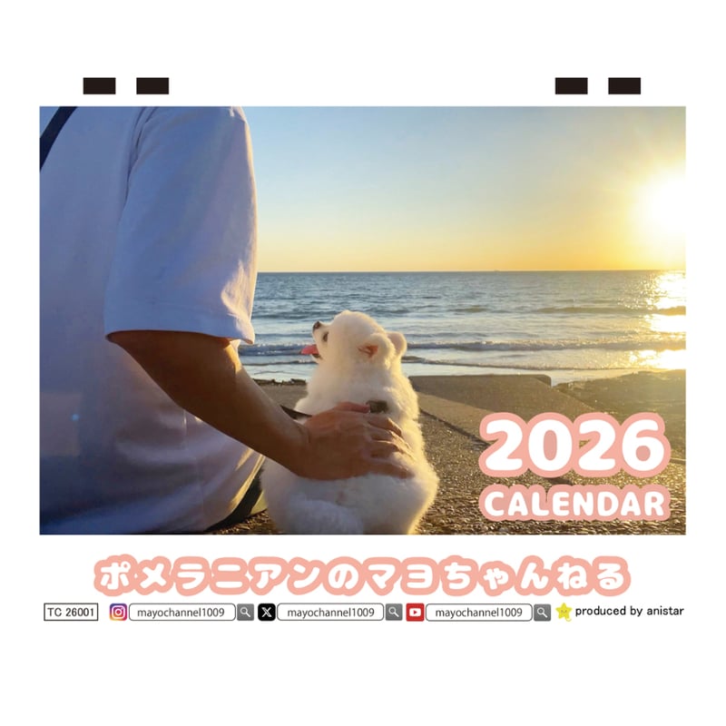 予約販売】 ポメラニアンのマヨちゃんねる 犬 2026年 卓上カレンダー