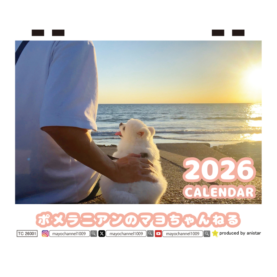 予約販売】 ポメラニアンのマヨちゃんねる 犬 2026年 卓上カレンダー