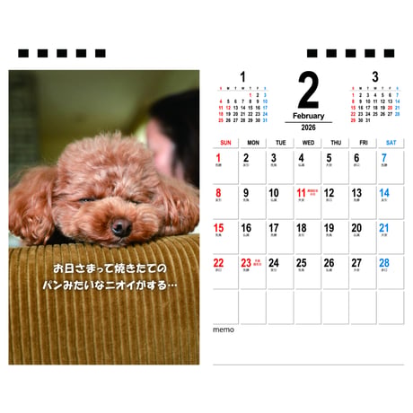 【予約販売】 ジュリア トイプードル 犬 2026年 卓上カレンダー TA26064