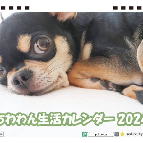 【予約販売】 チワワ犬のちわわん生活 2024年 卓上 カレンダー TC24026