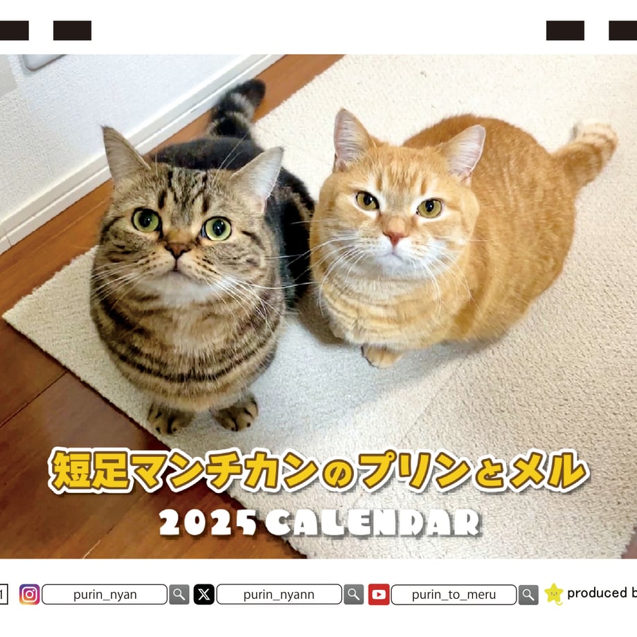 66f665ca4961f500010356f3