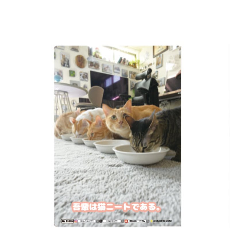 予約販売】 吾輩は猫ニートである。 A5ノート帳 No014NN | ANISTAR