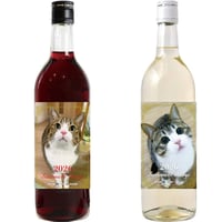 【予約販売】 すずめ＆うなぎ 猫 2026年 紅白ワイン ２本セット 720ml 2W004NN