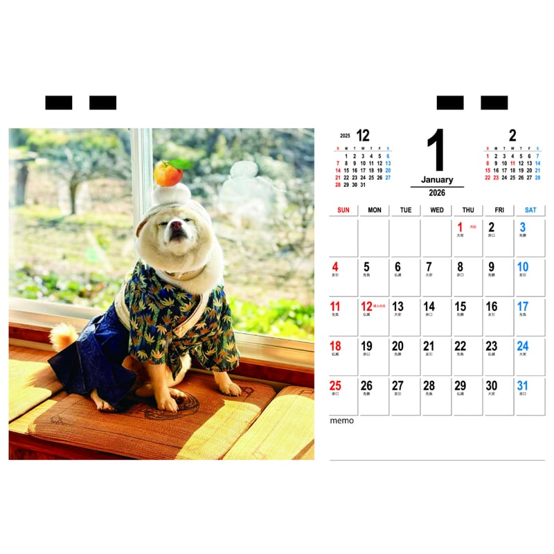 予約販売】 白柴ごん太 柴犬 2026年 卓上半面 カレンダー TC26013