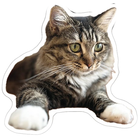【予約販売】 あつまれちいかまの森 猫 シール 5枚セット SE020NN