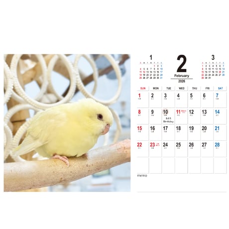【予約販売】 2羽と暮らすあんずちゃんねる インコ 2026年 卓上 カレンダー TC26342
