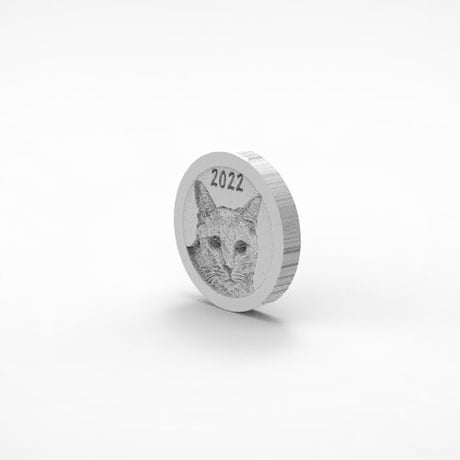 【予約販売】 ひのき猫 2022年 イヤーコイン Year Coin YC2201