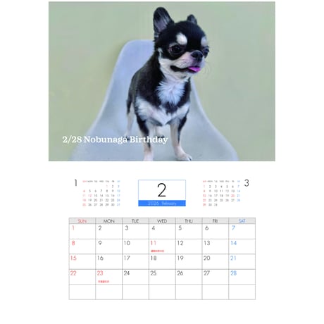 【予約販売】 チワワののぶなが 犬 2026年 壁掛けカレンダー KA26089