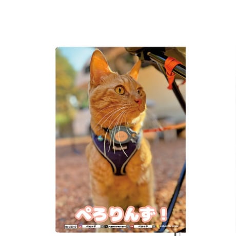 【予約販売】 ゴールデンレトリバー犬＆保護猫 ぺろりんず！ 2025年 A5ノート帳 No25010