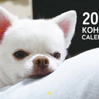 【予約販売】 犬のあくまでチワワチャンネル 2024年 壁掛け カレンダー KK24272