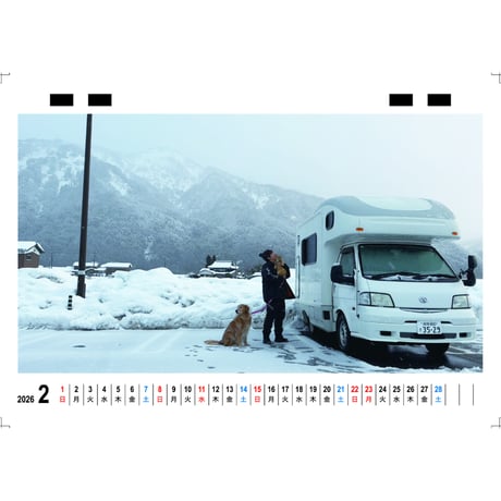 【予約販売】 ぺろりんず！ ゴールデンレトリバー 犬＆保護猫  2026年 卓上 カレンダー TC26291