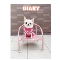 【予約販売】 チワワのクリム 2025年 犬 日記帳 DR25334