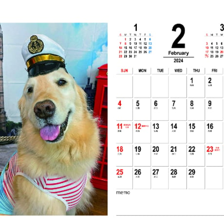 【予約販売】 ゴールデンレトリバー犬 はっちの奮闘記 2024年 卓上 カレンダー TC24078