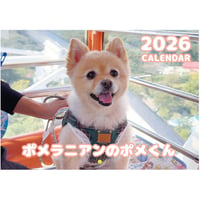 【予約販売】 ポメラニアンのポメくん 犬 2026年 壁掛け カレンダー KA26344
