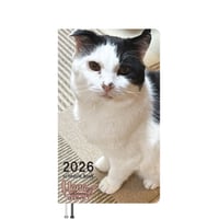 【予約販売】 Hana Channel 保護猫ライフ 2026年 ポケットスケジュール帳 PO26303