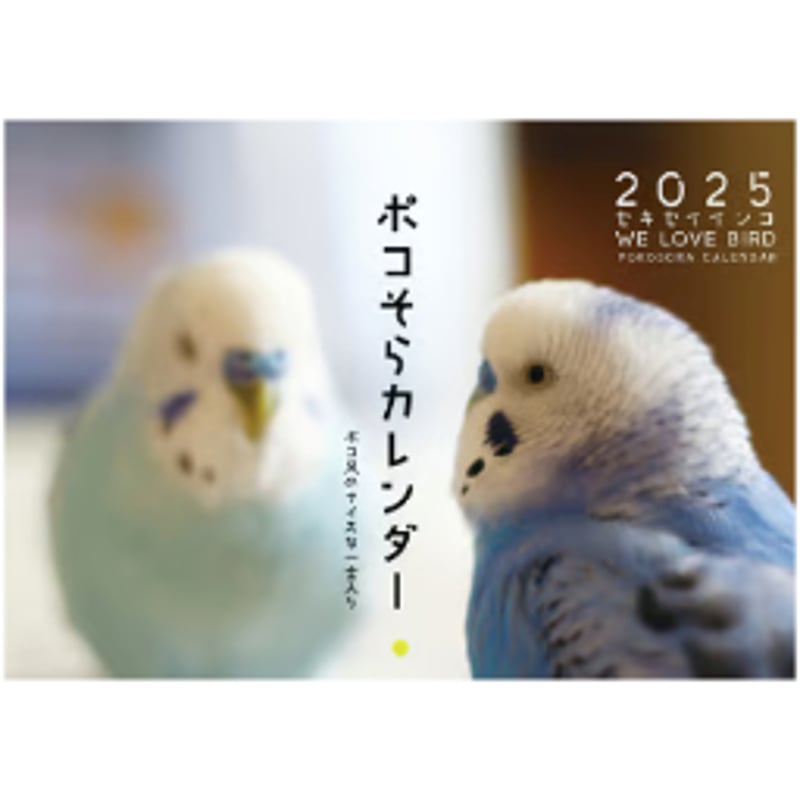 予約販売】 鳥 インコのポコそら 2025年 壁掛け カレンダー 予約販売】 鳥 インコのポコそら 2025年 壁掛け カレンダー