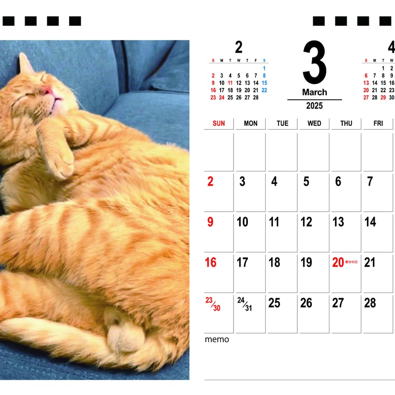 新品】名前はまだない。 猫 2025 卓上カレンダー直筆サイン入チェキ