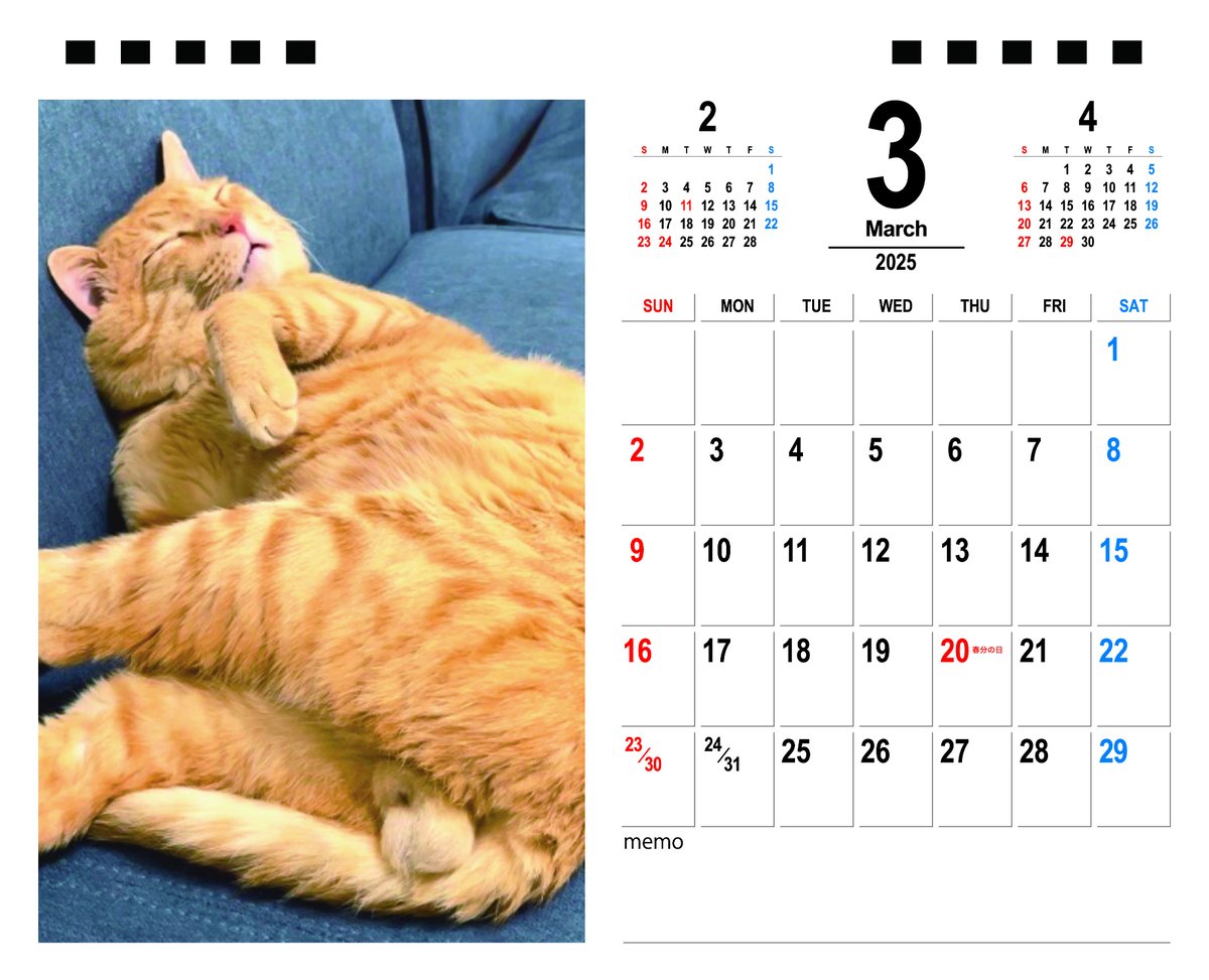 【新品】名前はまだない。 猫 2025 卓上カレンダー直筆サイン入チェキ Amazon.co.jp: アクティブコーポレーション 2025年 カレンダー