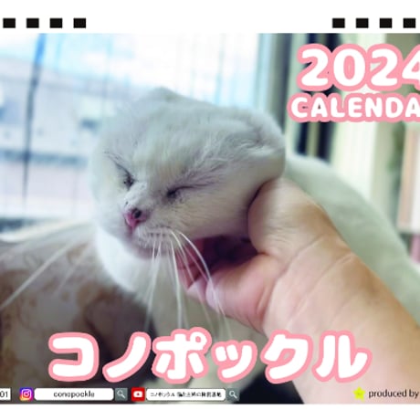【予約販売】 猫のコノポックル 2024年 卓上 カレンダー TC24221