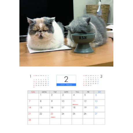 【予約販売】 まるおとまめこ 猫 2027年 壁掛け カレンダー KK27028