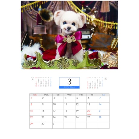【予約販売】 トイプードルのクレマ 犬 2026年 壁掛けカレンダー KA26072