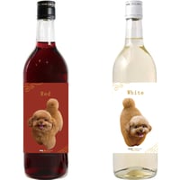 【予約販売】 もっちゃん トイプードル 犬 2026年 紅白ワイン ２本セット 720ml 2W006NN
