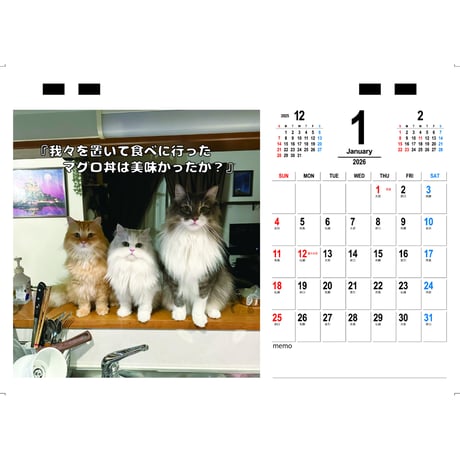 【予約販売】 ネコランド 猫 2026年 卓上 カレンダー TC26074